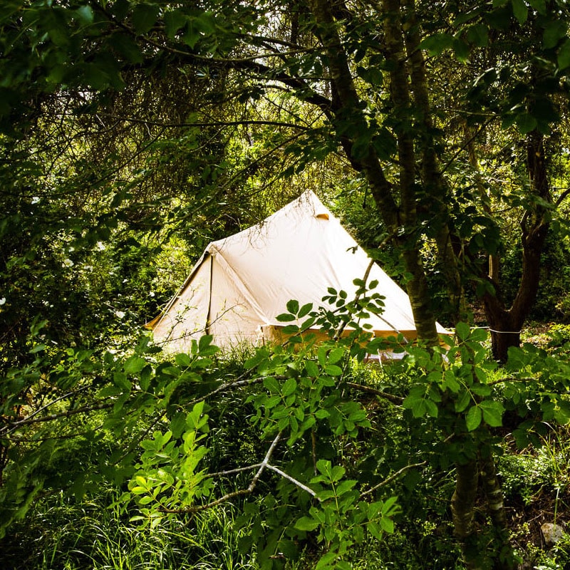 3m bell tent australia Sibley 300 Ultimate set up in the bush lots of trees around