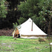 4 person tent Sibley 500 Protech Double Door in a forest