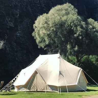 five person tent Sibley 600 Twin Ultimate in front of a large tree and mountain with doors closed
